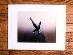 Chloe Underwater Photo Metallic Print "Agua Lobo" in B/W