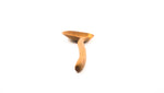 Teak Curvy Serving Spoon 10.5"