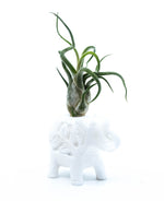 White Stone Carved Elephant Incense Cone Burner