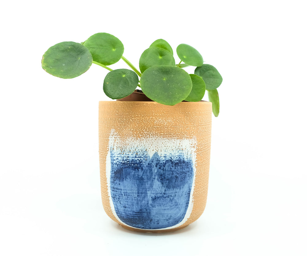Ocean Mist Pot 4.75"