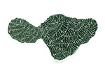 Maui Map Stickers