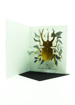 Beetle Pop-Up Card