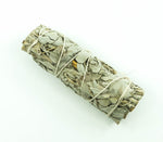 Mini White Sage Round 4"