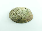 Abalone Shell Smudge Bowl