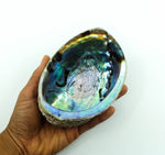 Abalone Shell Smudge Bowl