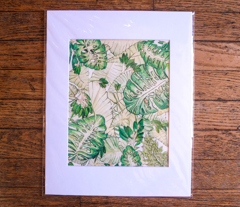 Stephanie Meyer "Monsteras & Taro" Print