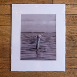 Joy Armstrong Photo Art Print "Shoots" in Black/White