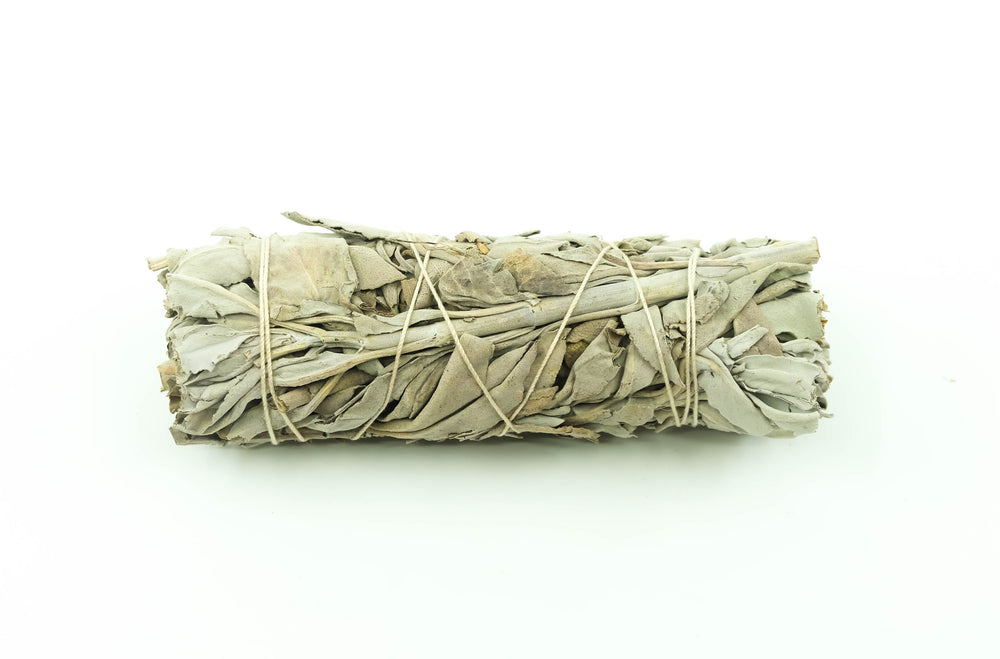 Medium White Sage 5-6"