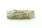 Medium White Sage 5-6"
