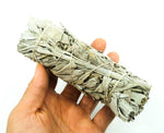 Medium White Sage 5-6"