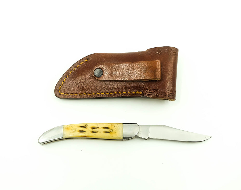 Buck Folder Knife - Staghorn