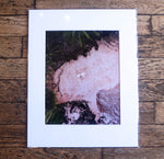 Joy Armstrong Photo Art Print "Desserted" in Color