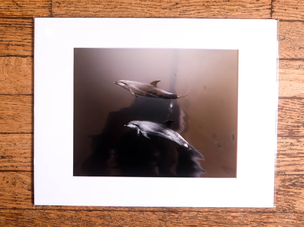 Chloe Underwater Photo Metallic Print "Dos Amigos" in B/W
