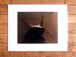 Chloe Underwater Photo Metallic Print "Hammer Time" in B/W