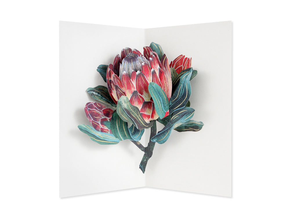 Protea Pop-Up Card