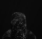 Chloe Underwater Photo Metallic Print "Starry Night" in B/W
