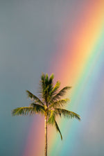 Joy Armstrong Photo Art Print "Taste The Rainbow" in Color