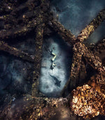 Chloe Underwater Photo Metallic Print "The Other Side Of Fear" in Color