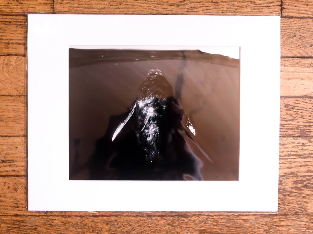 Chloe Underwater Photo Metallic Print "The Singer" in B/W