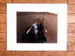 Chloe Underwater Photo Metallic Print "The Singer" in B/W